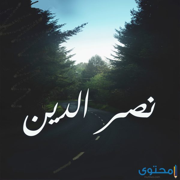معنى اسم نصر الدين (nasr aldiyn) وصفات من يحمله