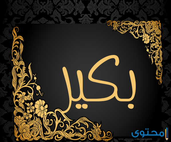 معنى اسم بكير (Bakeer) بالتفصيل