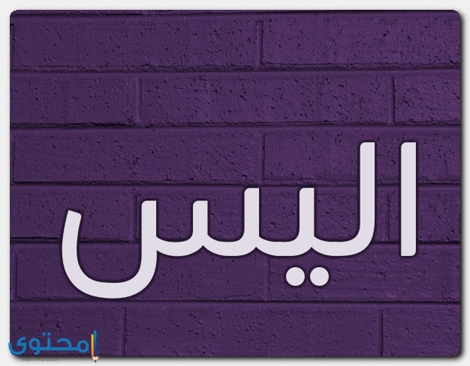 معنى اسم أليس وصفات حاملة الاسم (Alice)