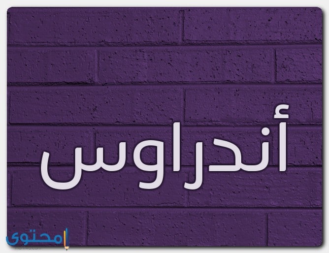 معنى اسم أندراوس وأصله - موقع محتوى