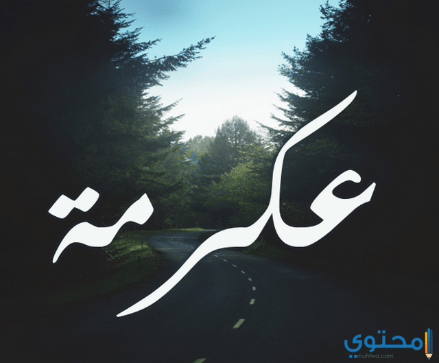 معنى اسم عكرمة وصفات شخصيته Akrama