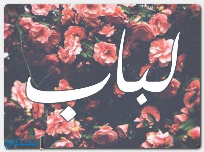 معنى اسم لباب Lbab وحكم التسمية