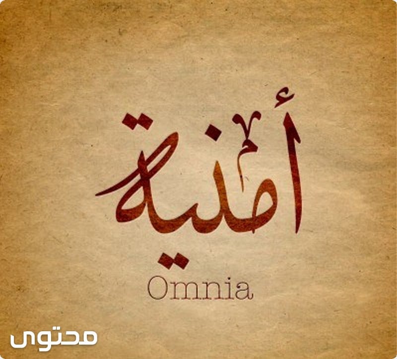 معنى اسم امنية وصفاتها الشخصية (Omnia)