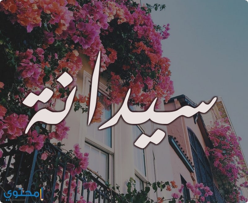 معنى اسم سيدانة وحكم التسمية Sedana