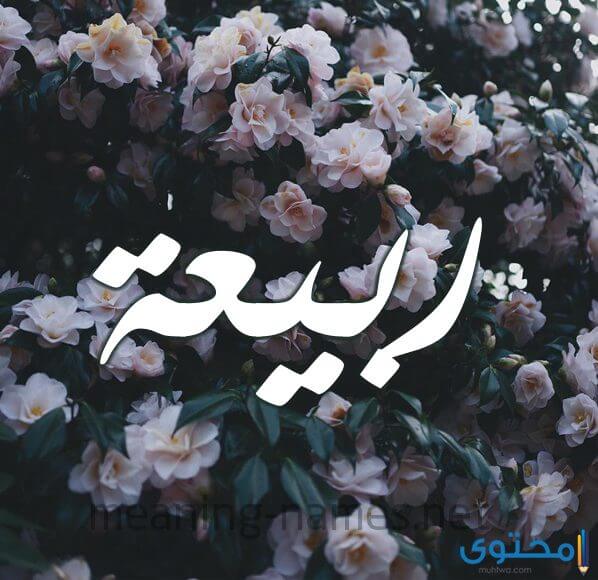 معنى اسم ربيعة وصفات من تحمله